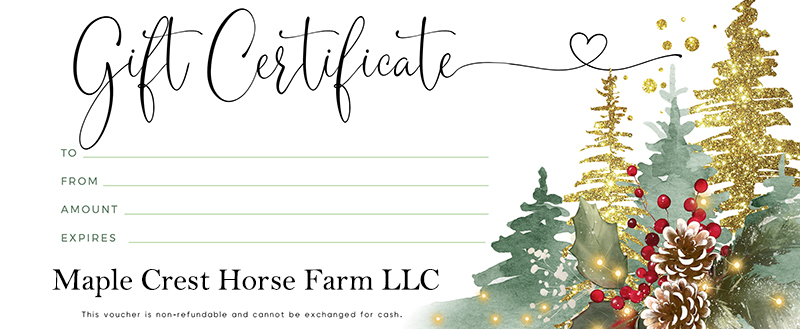 Gift Cert for website800